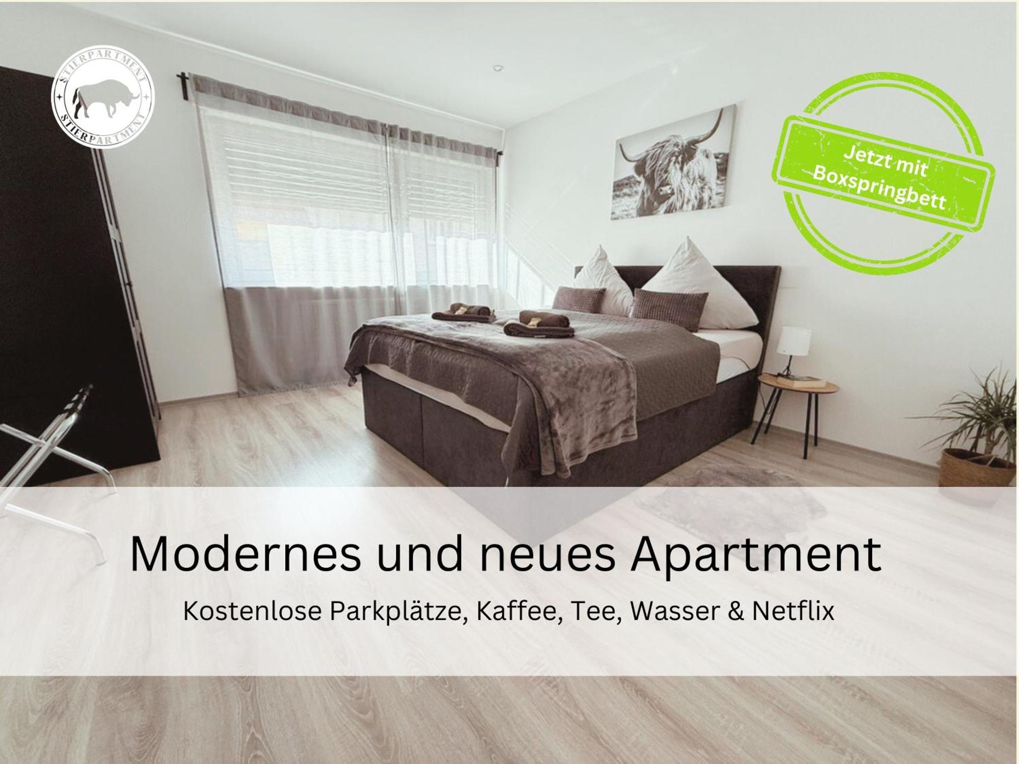 Stierpartment Am Pfaelzer Wald Naehe Outlet Center Zweibruecken Apartment Pirmasens Ngoại thất bức ảnh